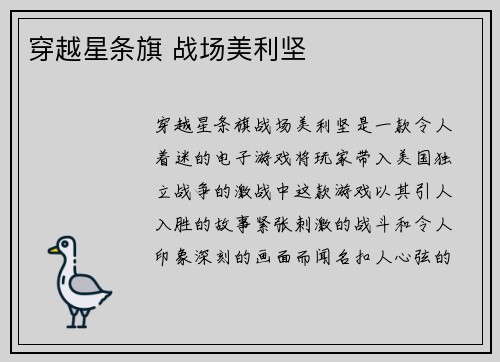 穿越星条旗 战场美利坚